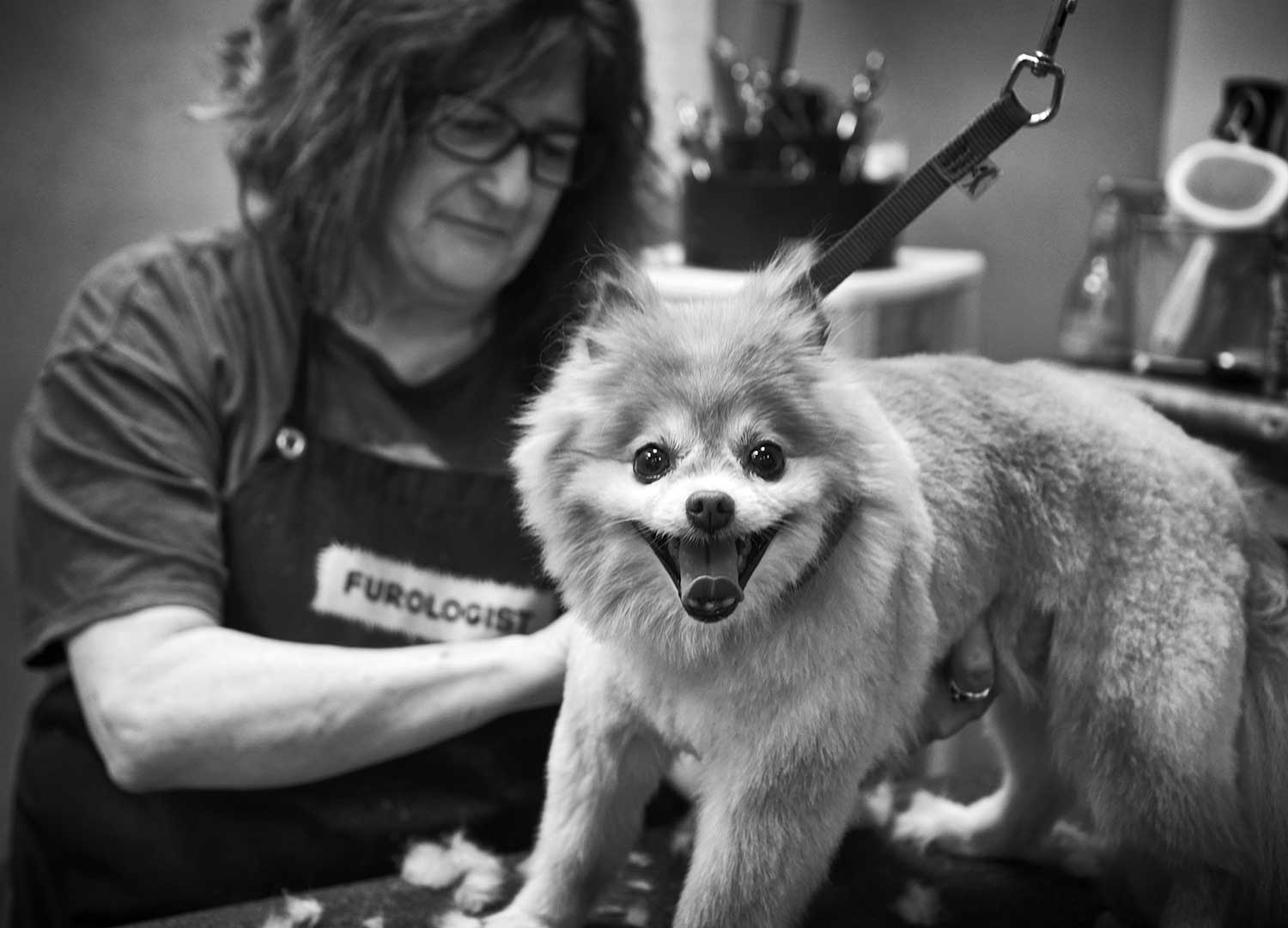 Pam Town and Foxy cannot contain their excitement at The Paw Spa. photo by Emily Cullum - 2018